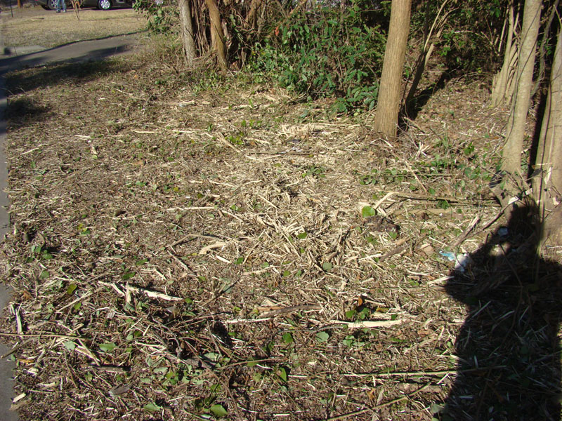 DSC07867