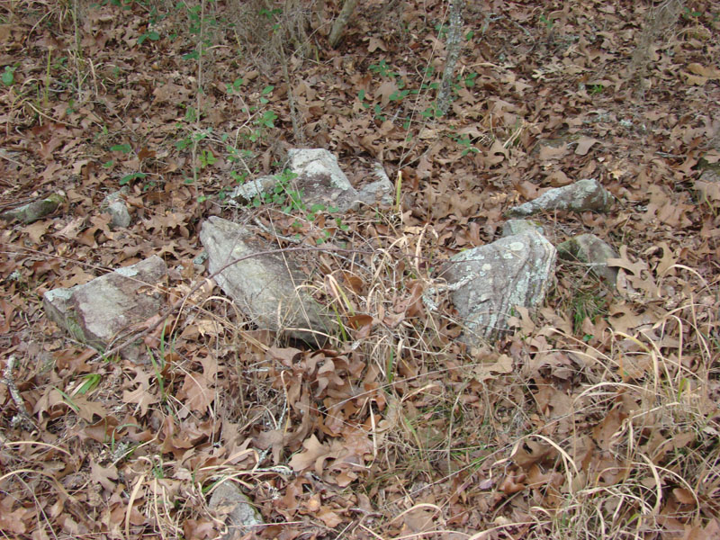 DSC07917