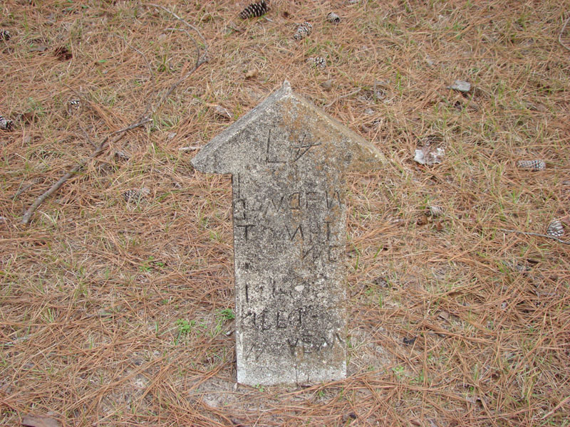 DSC07979