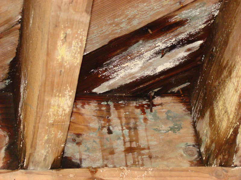DSC07986