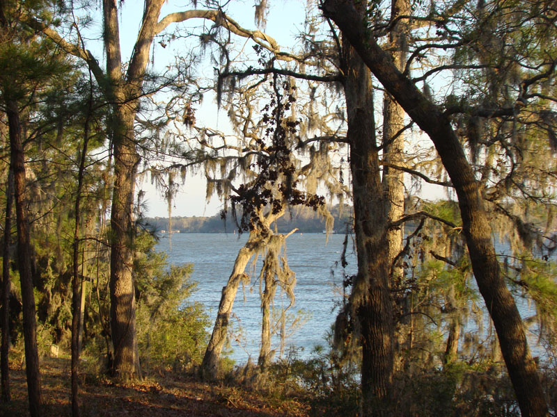 DSC08029