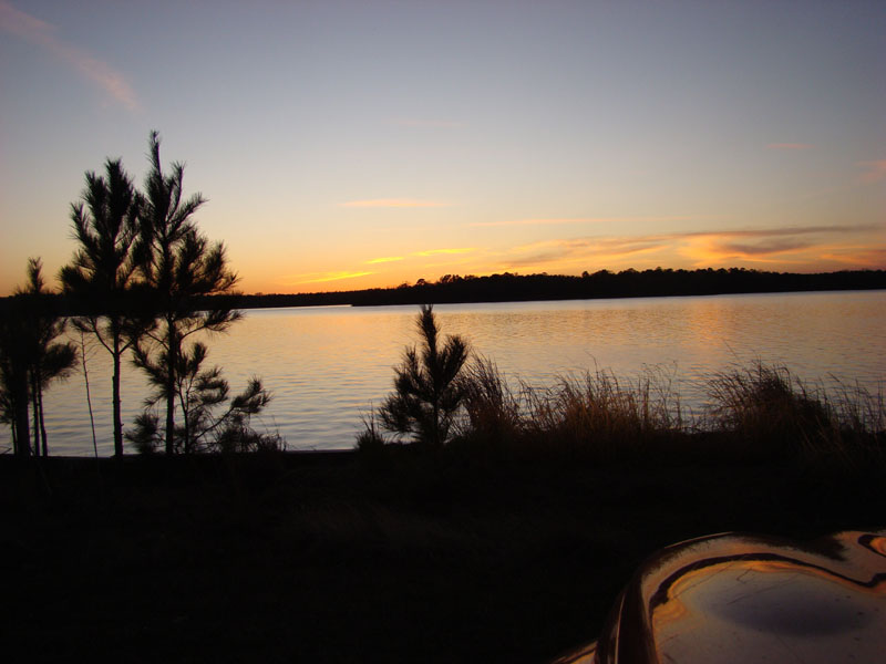 DSC08044