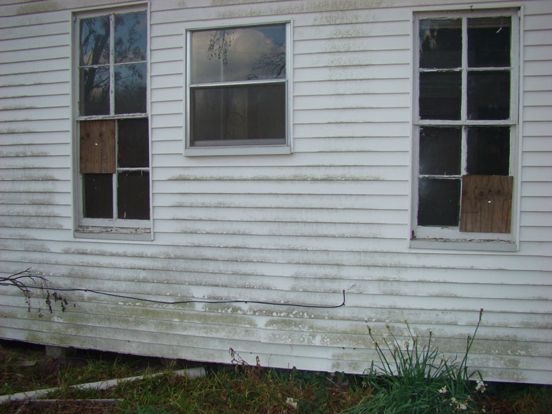 DSC07416