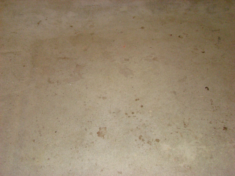 DSC07433