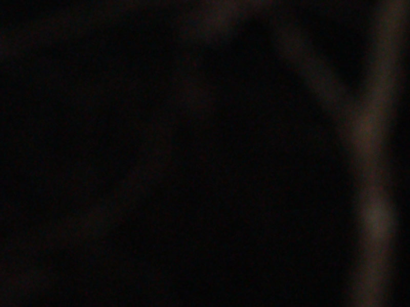 DSC07484
