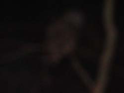 DSC07487