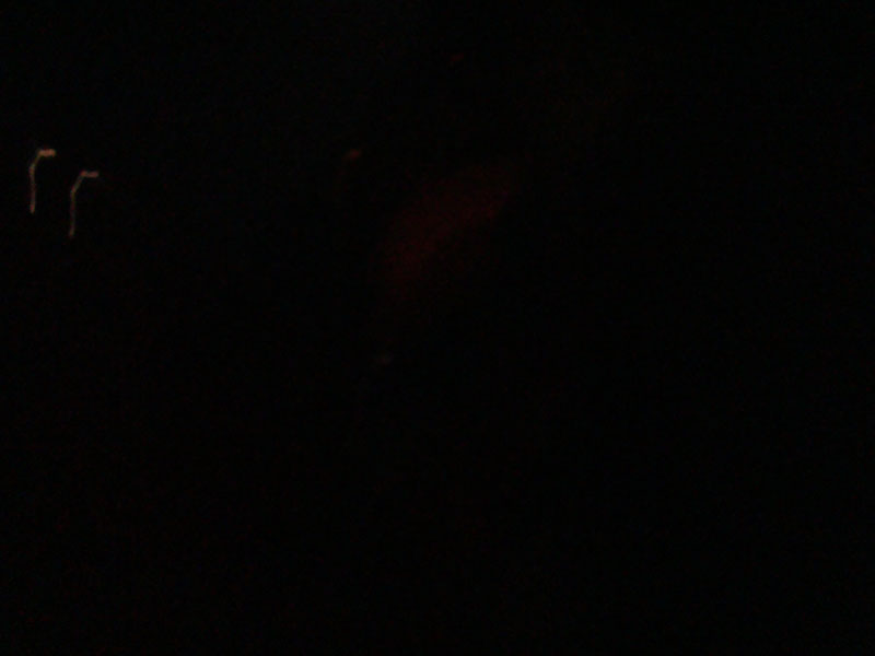 DSC09651