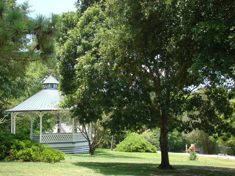 DSC09676