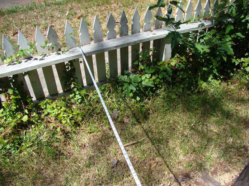 DSC09683