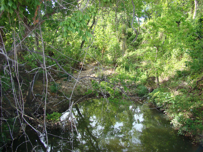 DSC09708