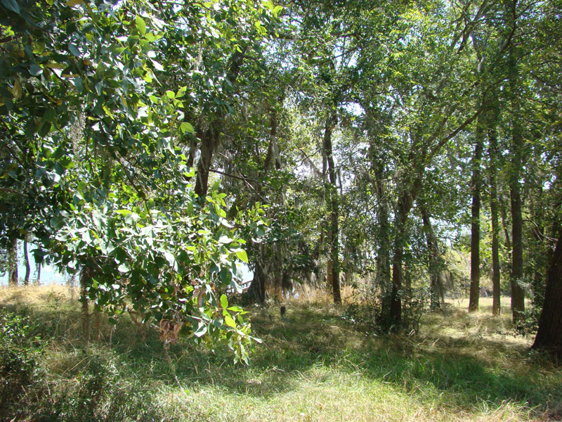 DSC09757