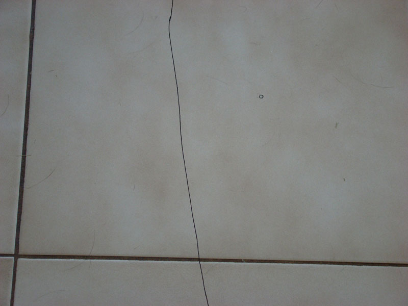 DSC09765