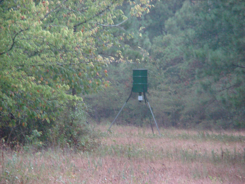 DSC09947