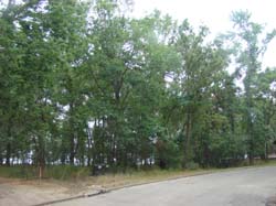 DSC09616