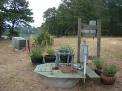 DSC09620