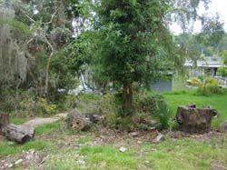 DSC09625