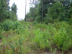 DSC09748