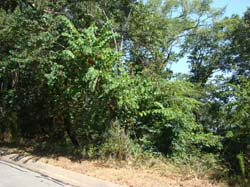 DSC09753