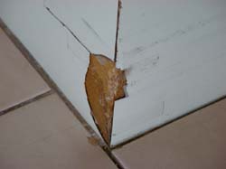 DSC09764