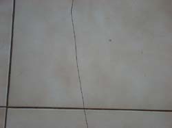 DSC09765