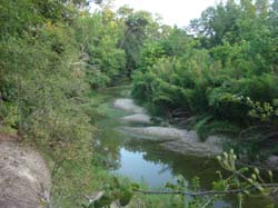 DSC09804
