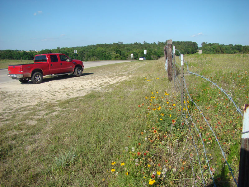 DSC09348