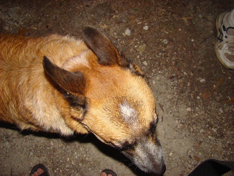 DSC09431
