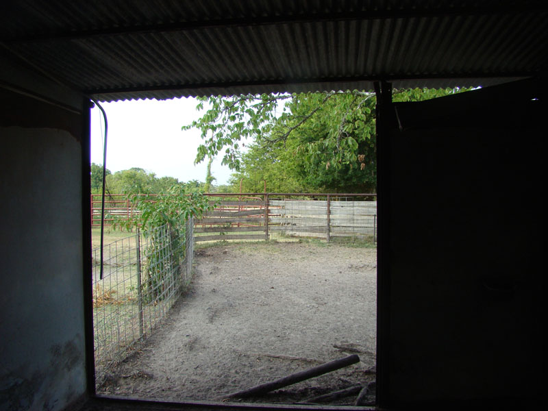 DSC09606