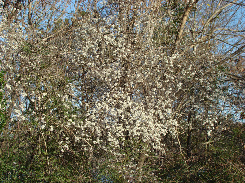 DSC08298