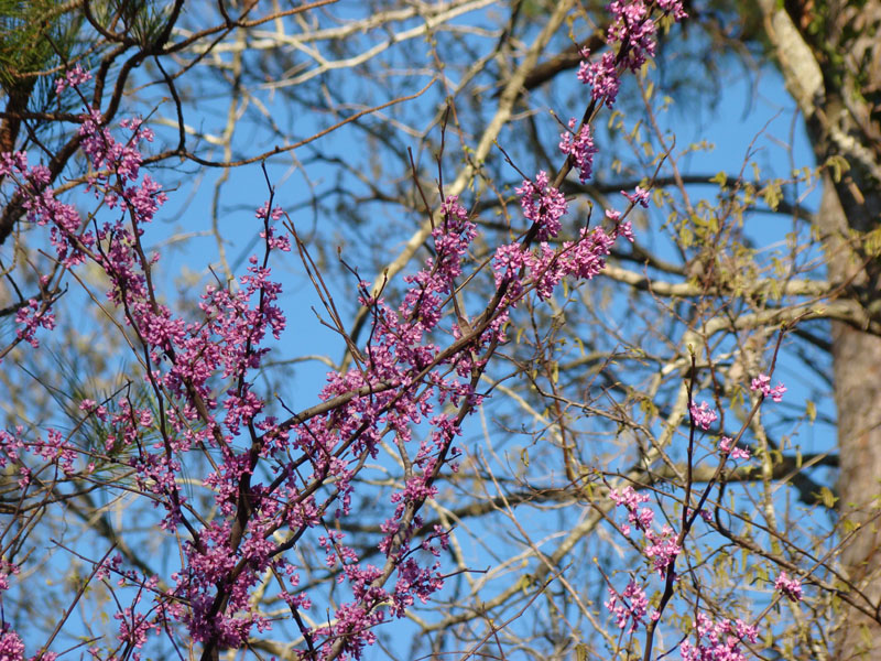 DSC08302