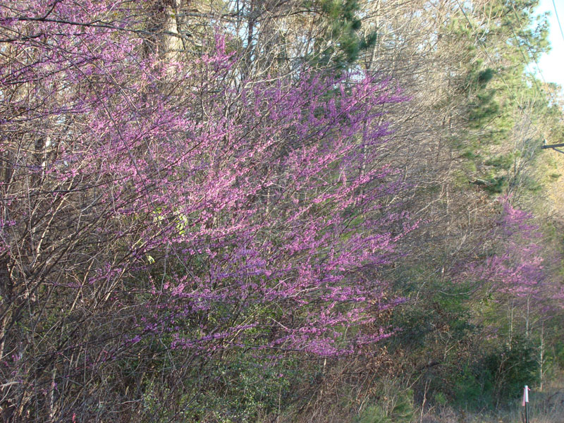DSC08303