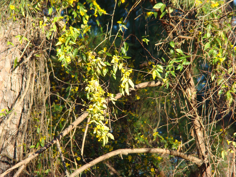 DSC08317