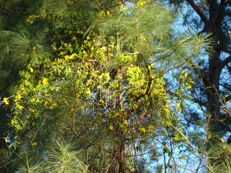 DSC08318