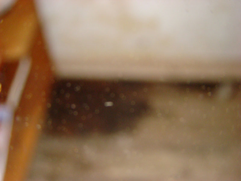 DSC08373