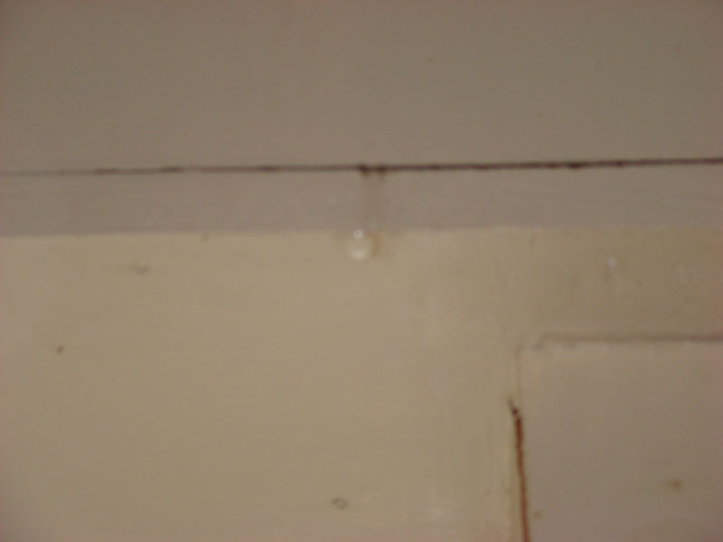 DSC08378
