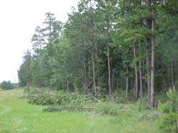 DSC09008