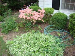 DSC09050
