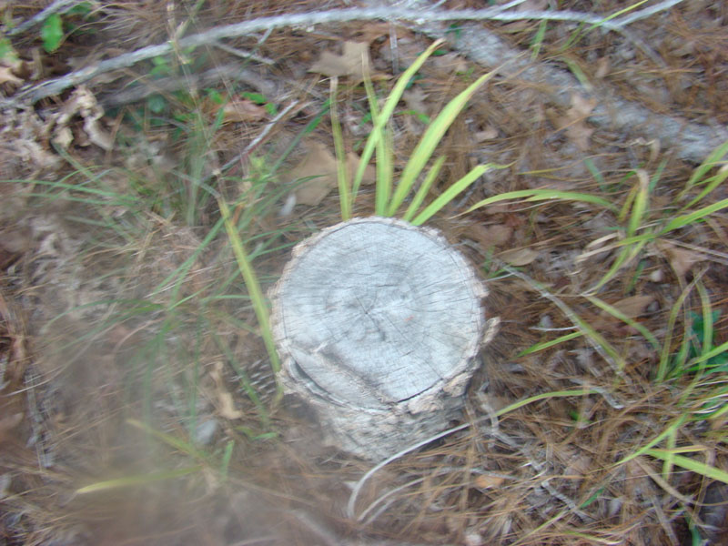 DSC01649