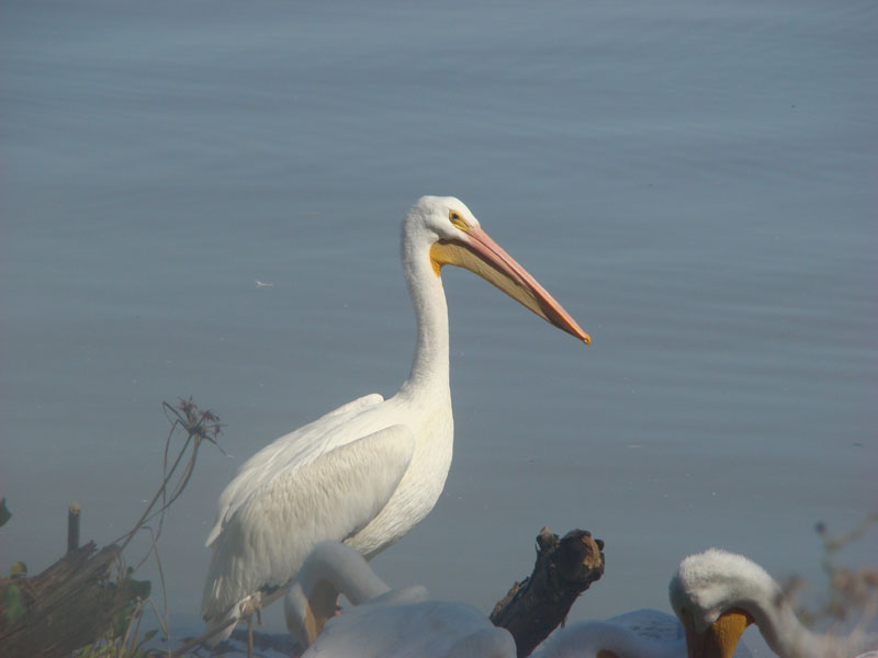 DSC01657