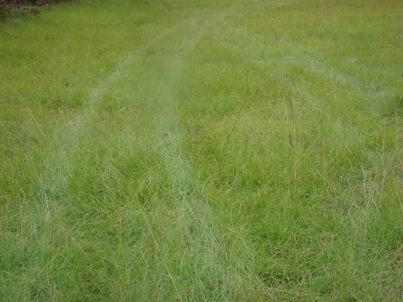 DSC01772
