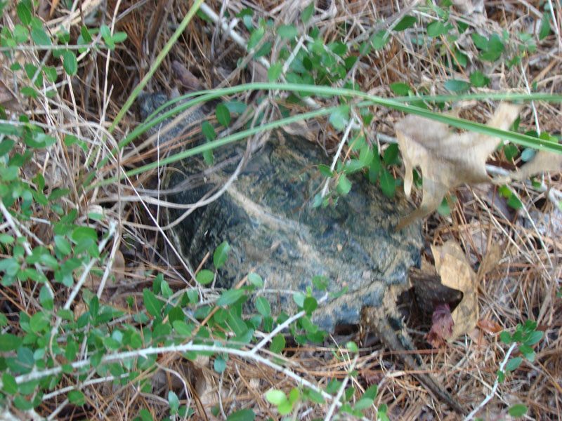 DSC01857