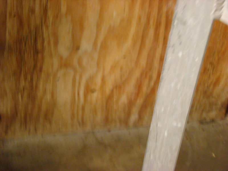 DSC02185