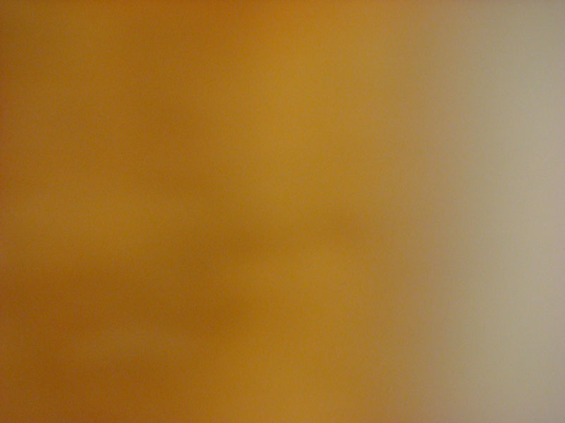 DSC02186