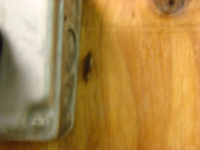 DSC02190
