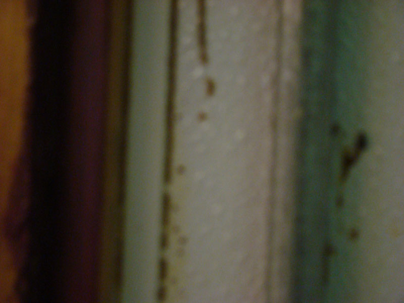 DSC02197