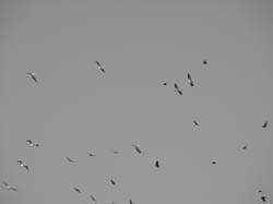 DSC01702