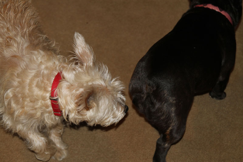IMG_0504