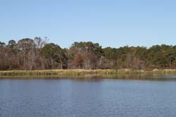IMG_0224