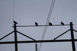 IMG_0881