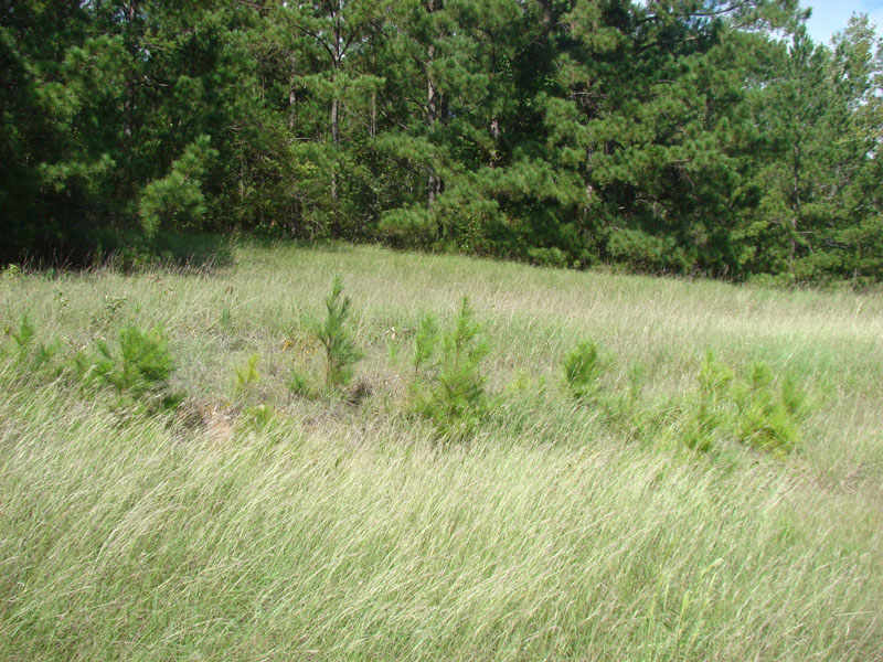 DSC00970